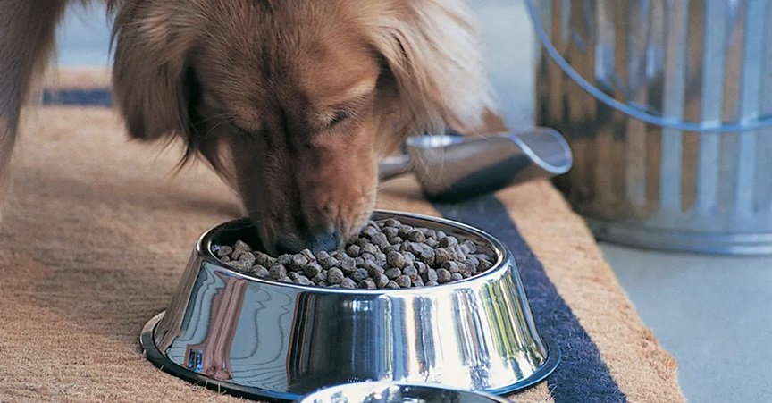 Is dog food Advisor trustworthy