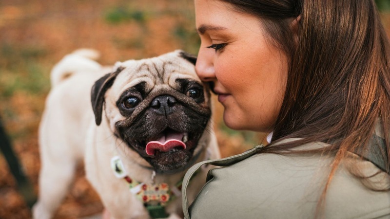 small dog breeds​