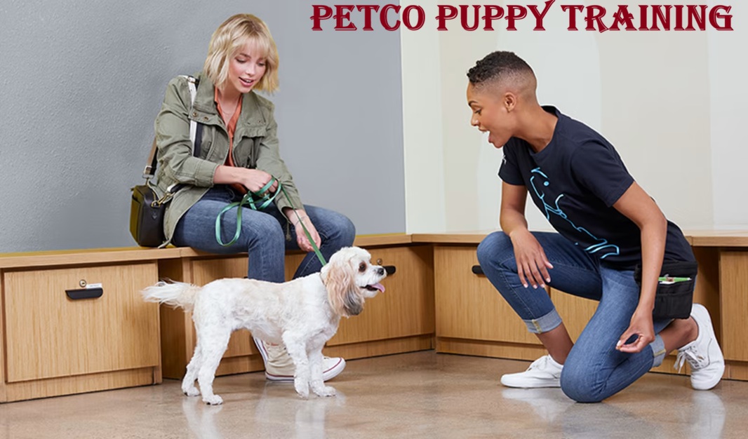 petco puppy training
