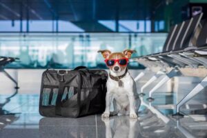 Puppy Flight Nanny Cost