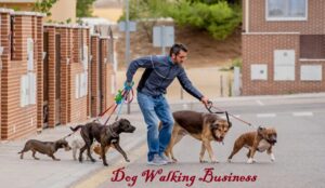 Dog Walking Business
